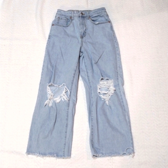Wild Fable Distressed Highest Rise Baggy Blue Jean 00/24R
